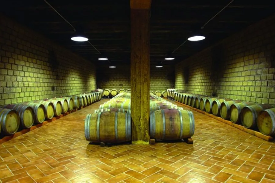 Immagine Merenda in Cantina 6