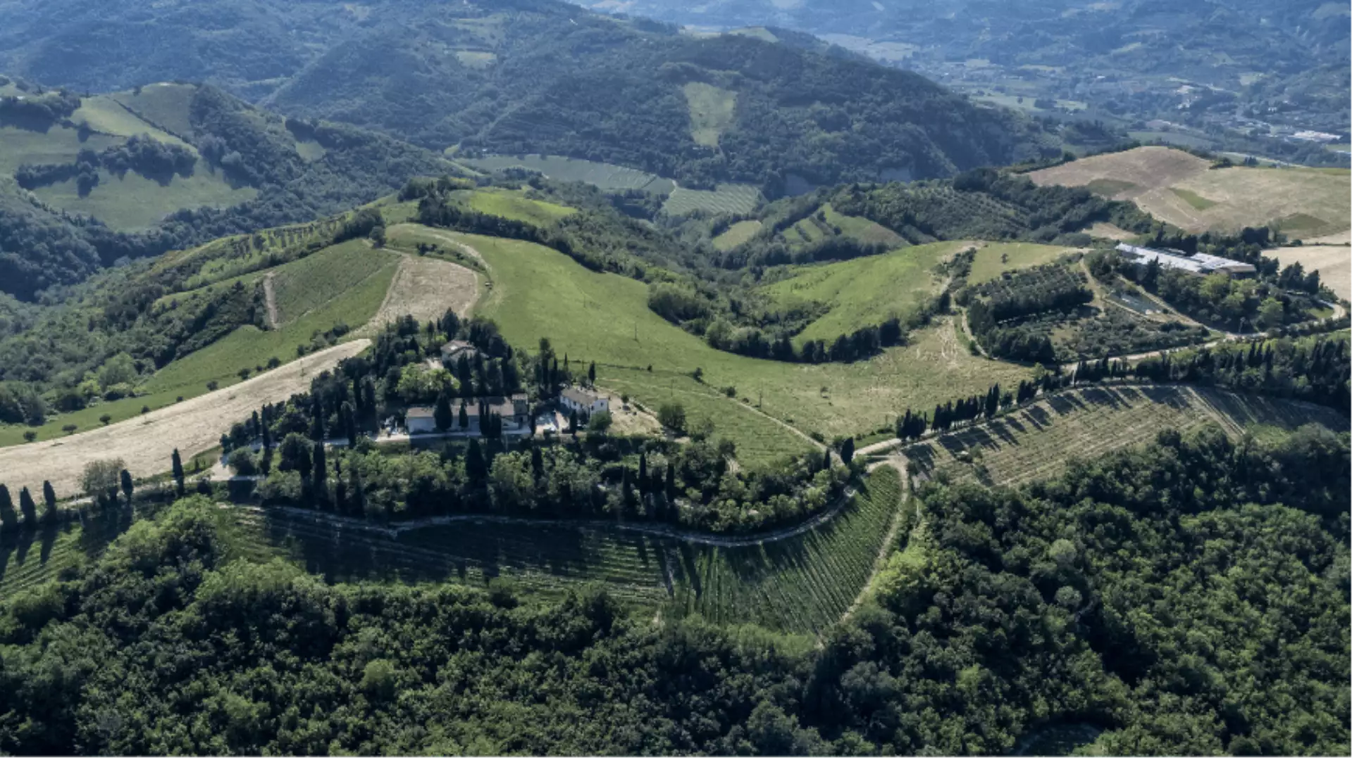 cantina Ronchi di Castelluccio