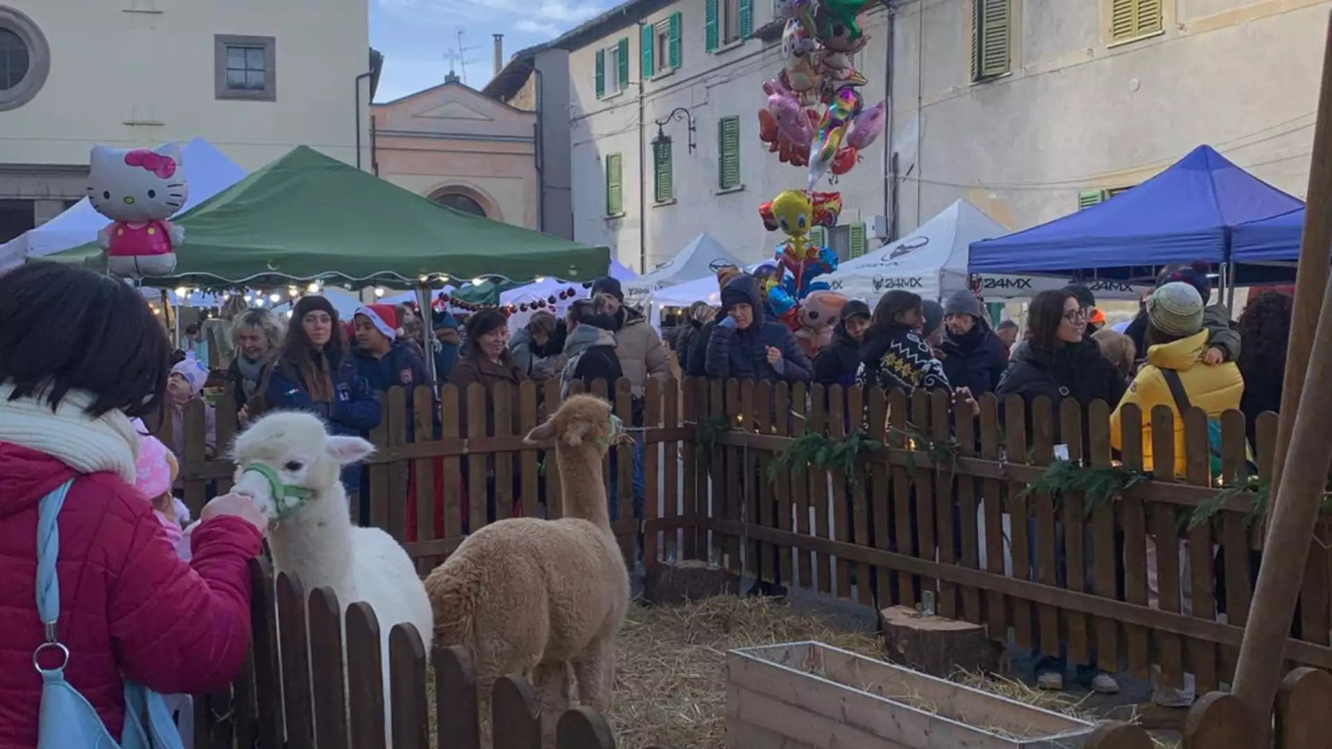 Immagine L'AVVICINAMENTO AI GRANDI RONCHI 12
