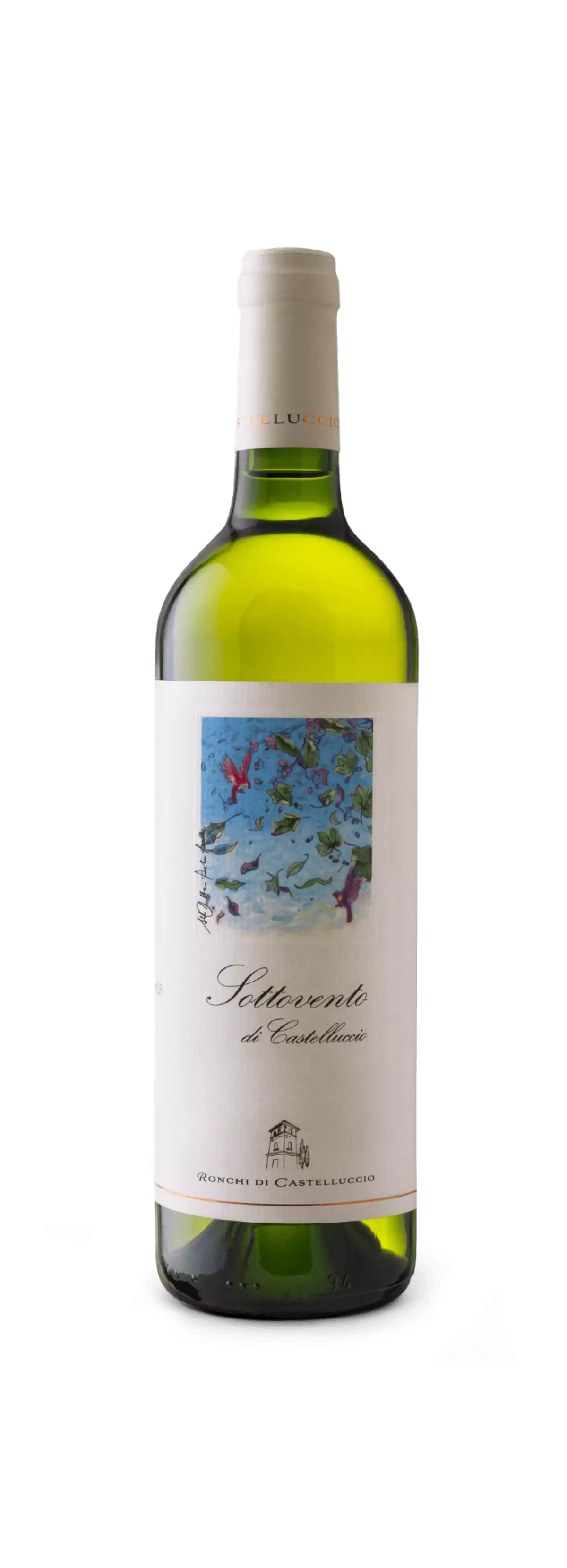 Immagine vino SOTTOVENTO Immagine vino SOTTOVENTO