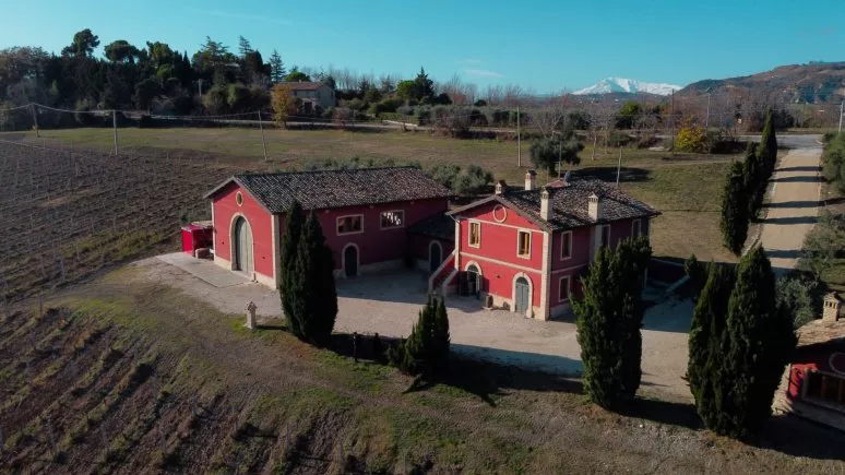 Immagine visita Wochenende im Weingut cantina Cantina D'Erasmo Immagine visita Wochenende im Weingut cantina Cantina D'Erasmo