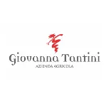 GIOVANNA TANTINI logo GIOVANNA TANTINI logo