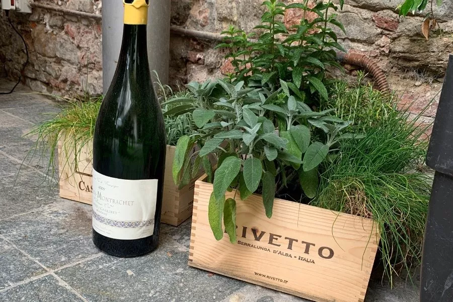 Immagine Enoteca Vicino DiVino - La Morra 8