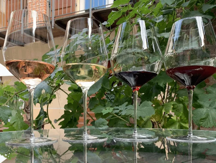 Immagine Enoteca Vicino DiVino - La Morra 2 Immagine Enoteca Vicino DiVino - La Morra 2