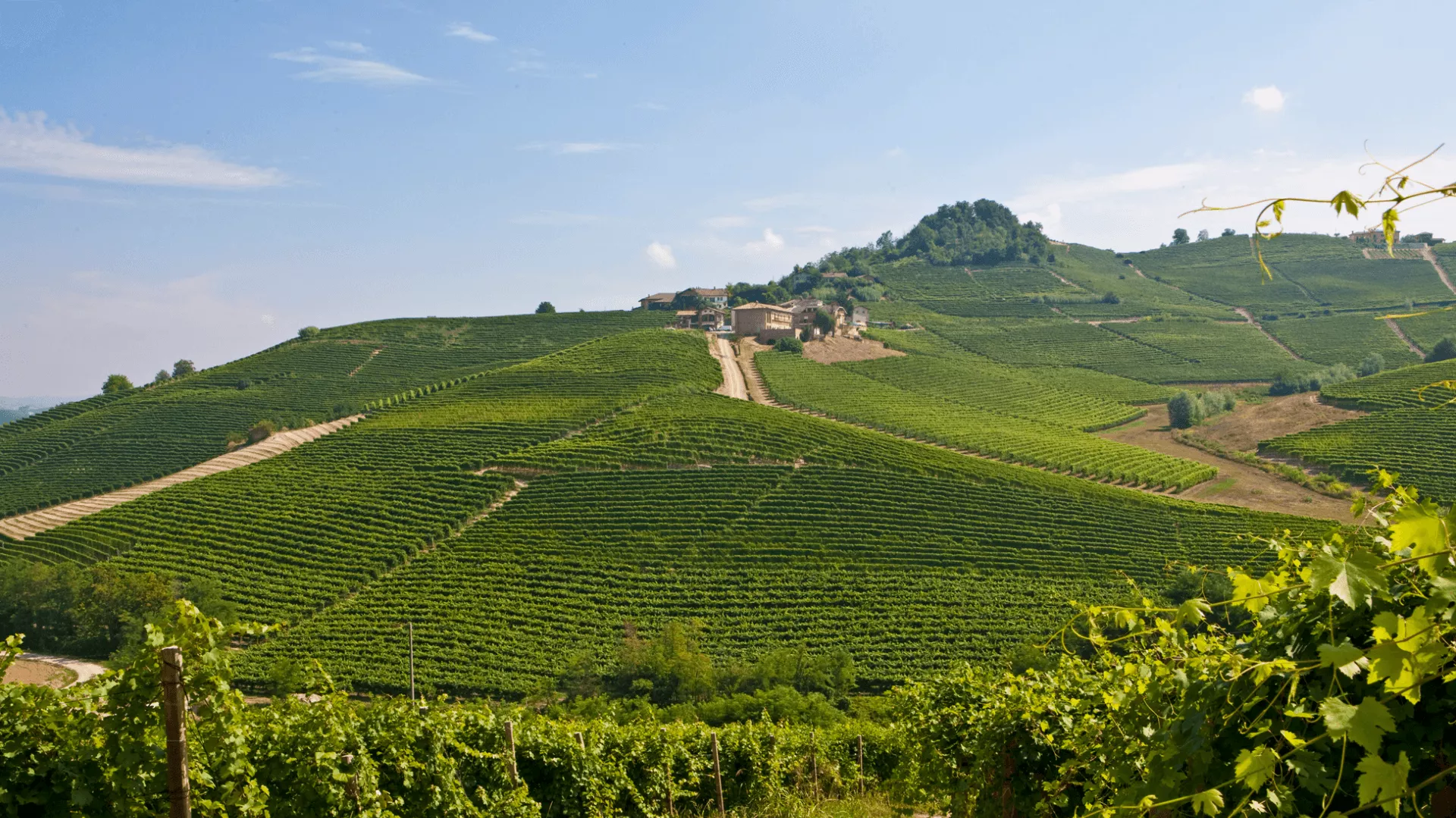 Immagine cantina Bussia Soprana