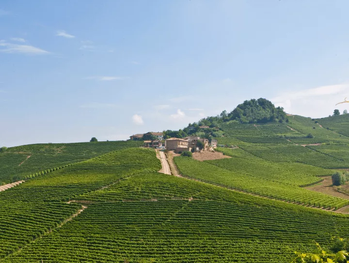 Immagine Bussia Soprana 2