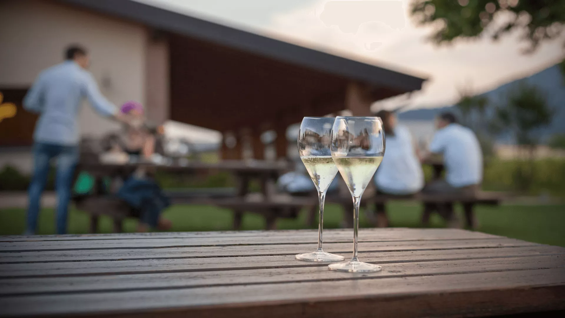 Immagine cantina Clarabella