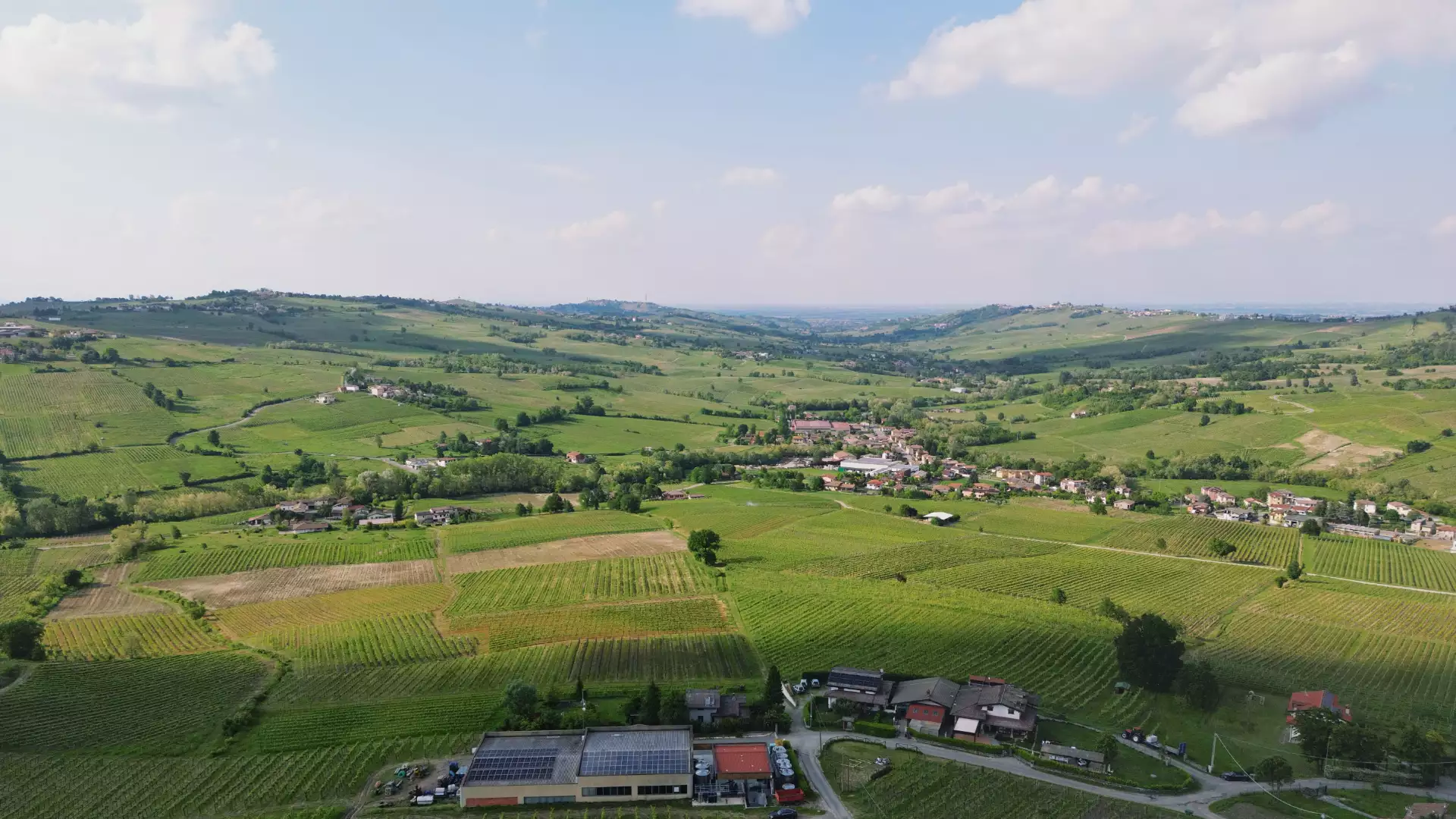 Immagine visita NOLEGGIO E-MTB, VISITA GUIDATA, DEGUSTAZIONE VINI E PICNIC cantina Azienda agricola Calatroni