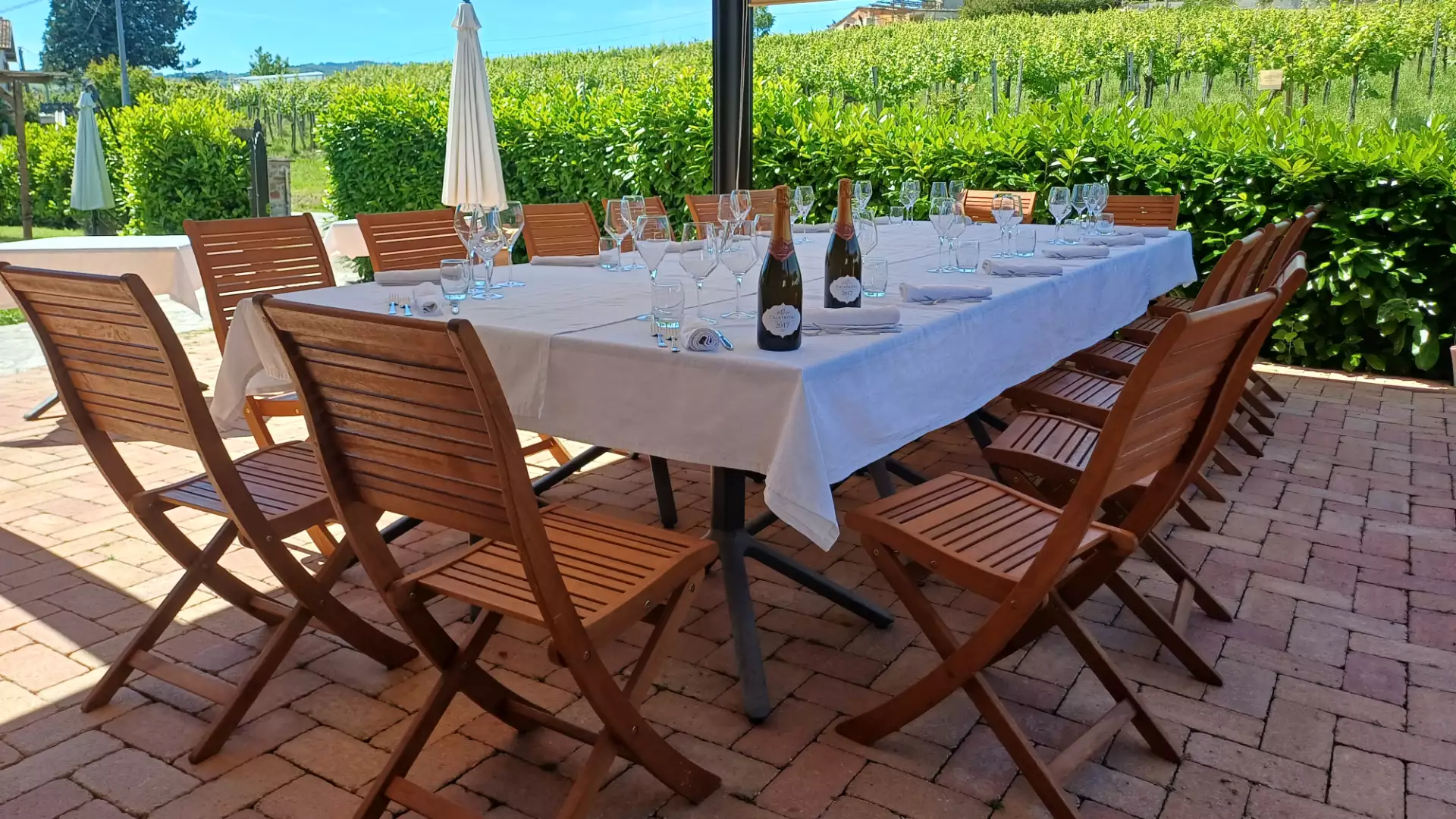 Immagine visita FERRAGOSTO 2025 cantina Azienda agricola Calatroni Immagine visita FERRAGOSTO 2025 cantina Azienda agricola Calatroni