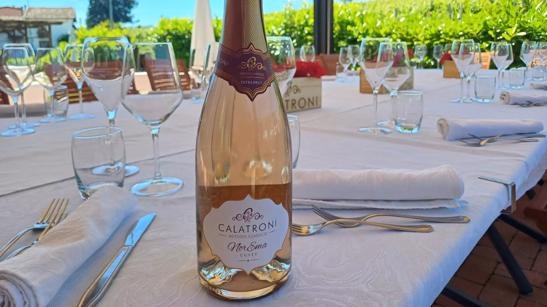 Immagine visita VISITA GUIDATA CON DEGUSTAZIONE VINI E ABBINAMENTO GASTRONOMICO cantina Azienda agricola Calatroni