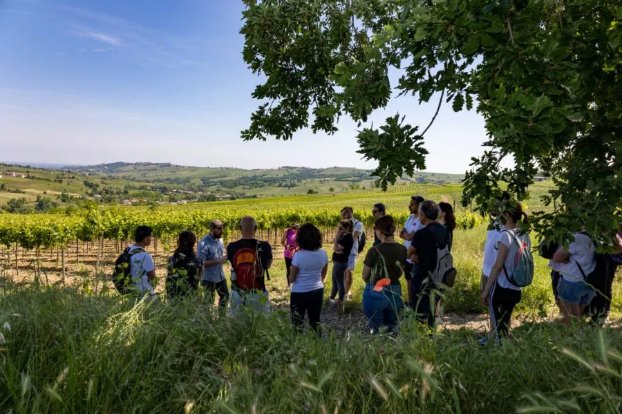 Immagine TREKKING SULLA VIA DI SAN COLOMBANO CON VISITA E PRANZO 2 Immagine TREKKING SULLA VIA DI SAN COLOMBANO CON VISITA E PRANZO 2