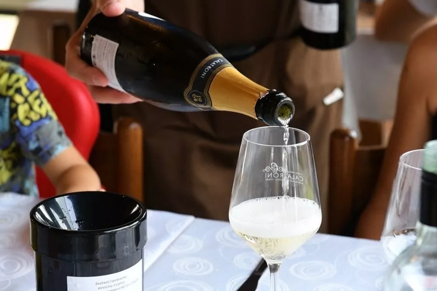 Immagine VIVI LA VENDEMMIA - CON PRANZO 2 Immagine VIVI LA VENDEMMIA - CON PRANZO 2