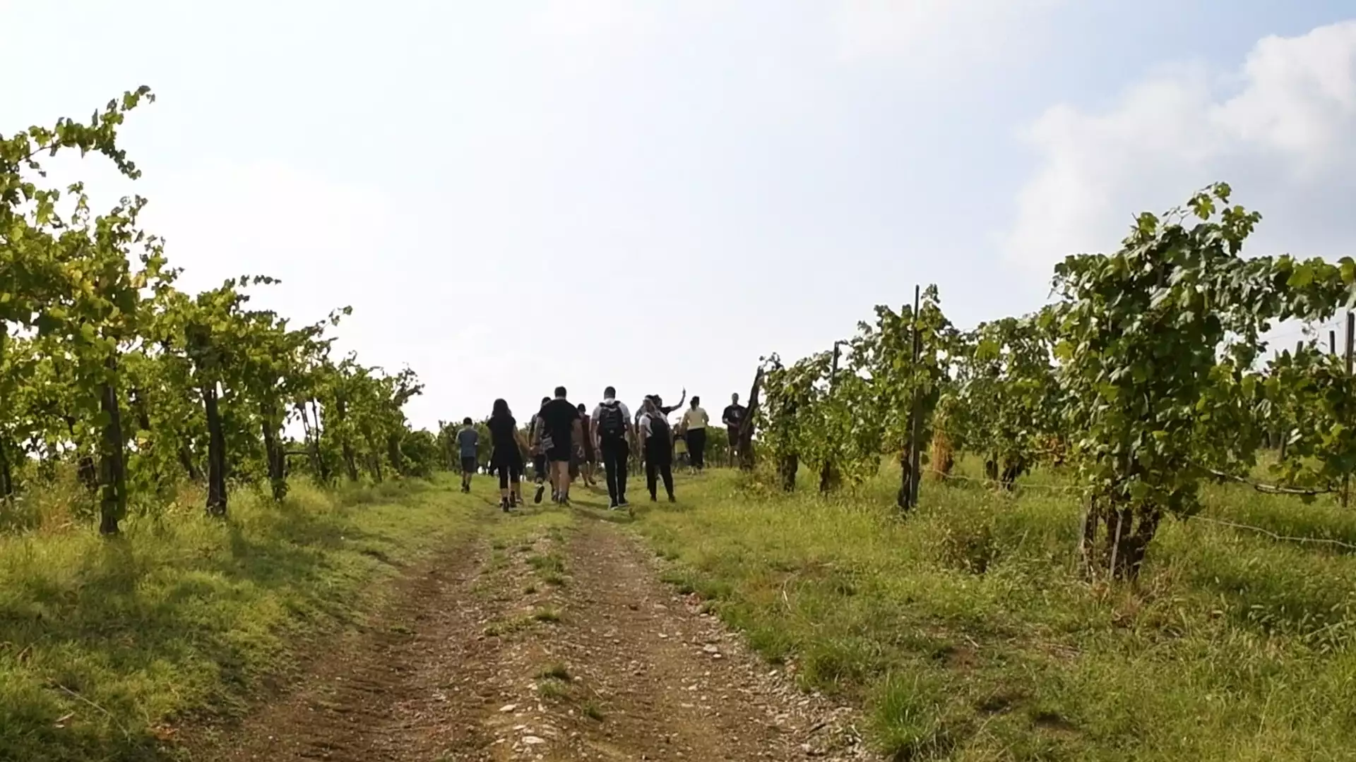 Immagine TREKKING SULLA VIA DI SAN COLOMBANO CON VISITA E PRANZO 3 Immagine TREKKING SULLA VIA DI SAN COLOMBANO CON VISITA E PRANZO 3
