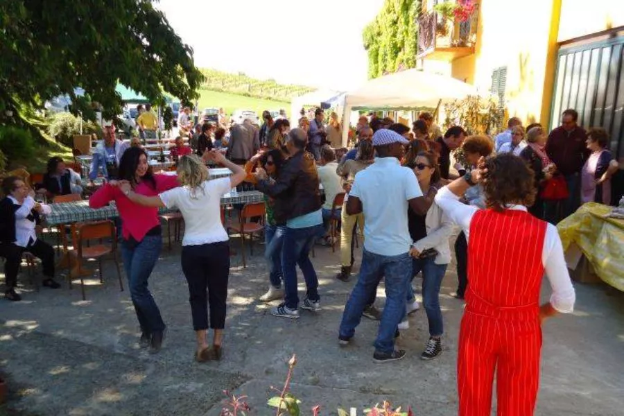 Immagine Piana vini 4