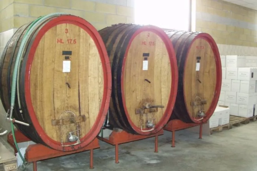 Immagine Piana vini 6