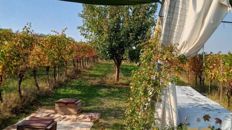 Immagine visita 