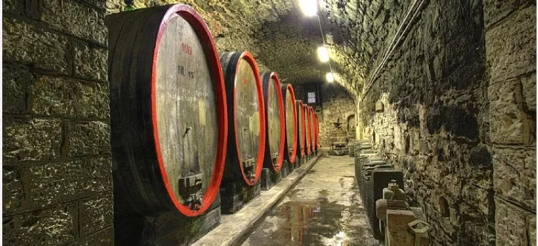 Immagine visita Visita cantine storiche con degustazione cantina Castello del Trebbio Immagine visita Visita cantine storiche con degustazione cantina Castello del Trebbio