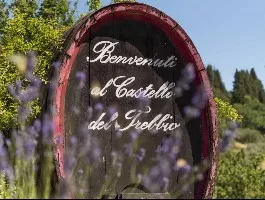 Immagine Castello del Trebbio 2