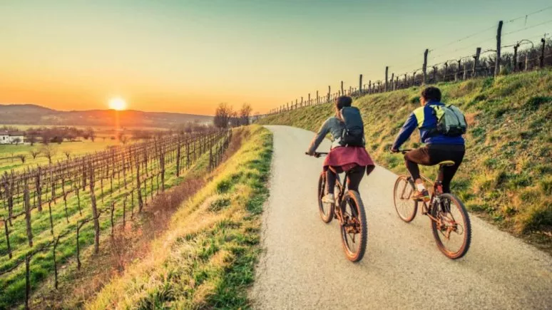 Immagine visita Tour in e-bike tra i vigneti dei Colli Perugini e degustazione di vini cantina Cantine Goretti
