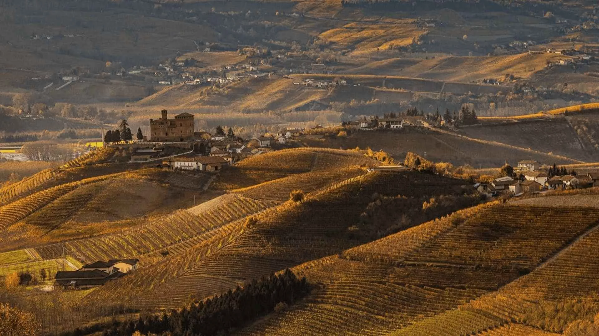 Immagine Cantina Le Ginestre 1 Immagine Cantina Le Ginestre 1