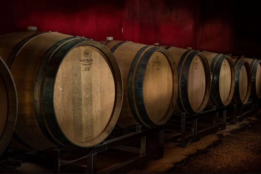 Immagine Visita in cantina + degustazione Speciale 4