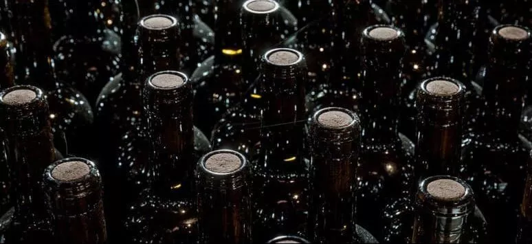 Immagine visita Visita in cantina + degustazione Benvenuto cantina Cantina Le Ginestre 