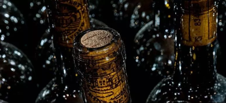 Immagine visita Visita in cantina + degustazione Tradizionale cantina Cantina Le Ginestre 