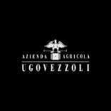 Vezzoli Ugo logo