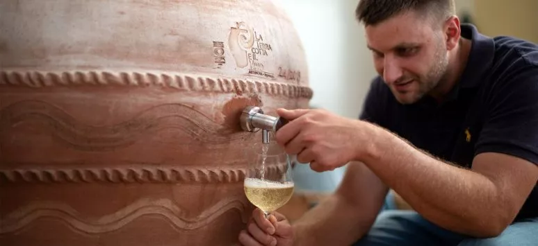 Immagine visita Gli autoctoni raccontano Terre Grosse cantina Terre Grosse Az. Agricola