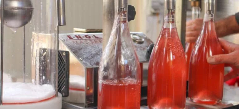 Immagine visita Il Piave racconta cantina Terre Grosse Az. Agricola Immagine visita Il Piave racconta cantina Terre Grosse Az. Agricola