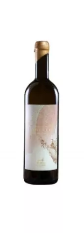 Immagine vino Concreto - Manzoni Bianco in Anfora Veneto IGT 2019 Biologico Immagine vino Concreto - Manzoni Bianco in Anfora Veneto IGT 2019 Biologico