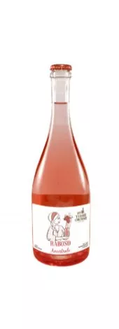 Immagine vino Raboso Ancestrale Veneto IGT 2020 Biologico