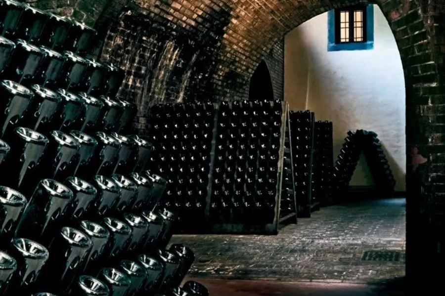 Immagine Villa Franciacorta 4