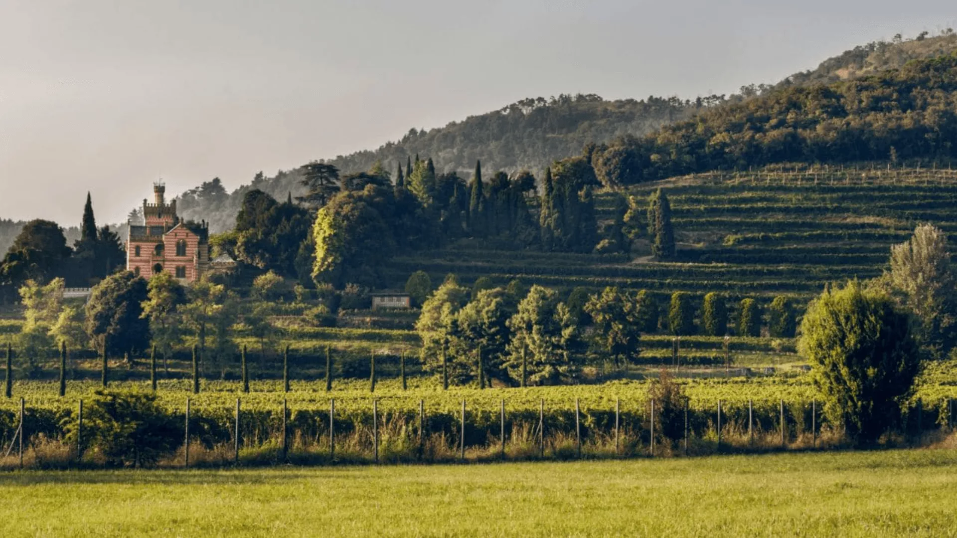 Immagine cantina Castello Bonomi