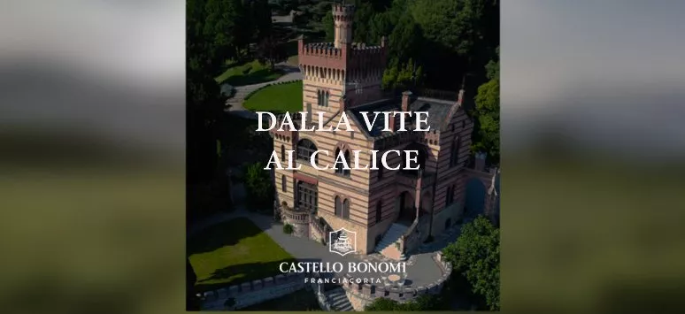 Immagine visita Dalla Vite al Calice cantina Castello Bonomi