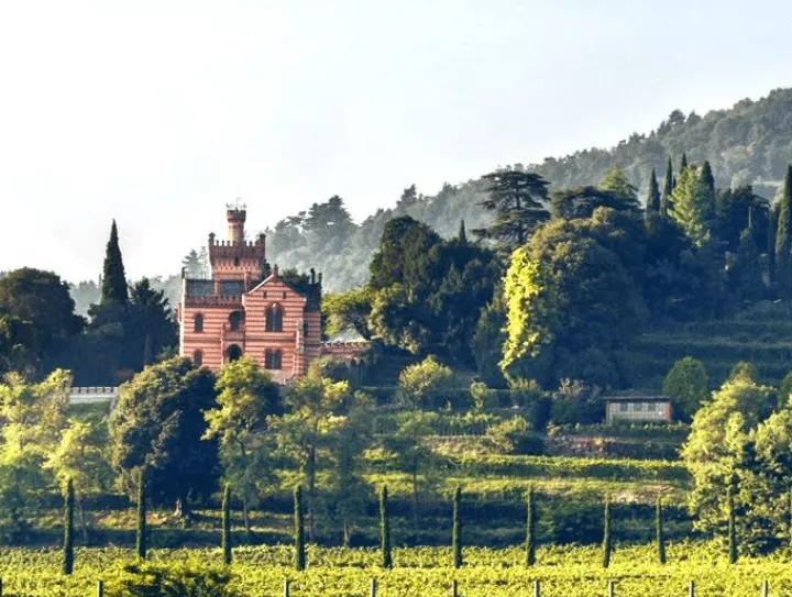Immagine Castello Bonomi 2 Immagine Castello Bonomi 2