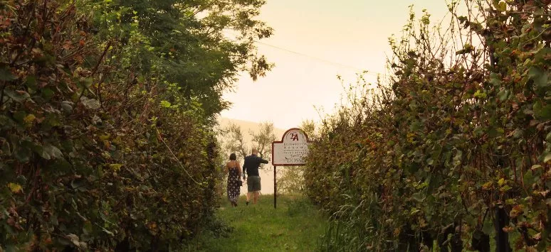 Immagine visita Il viaggio del Pinot Nero cantina Abrami Elisabetta