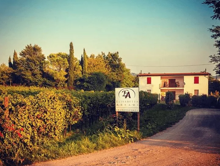 Immagine Il viaggio del Pinot Nero 3