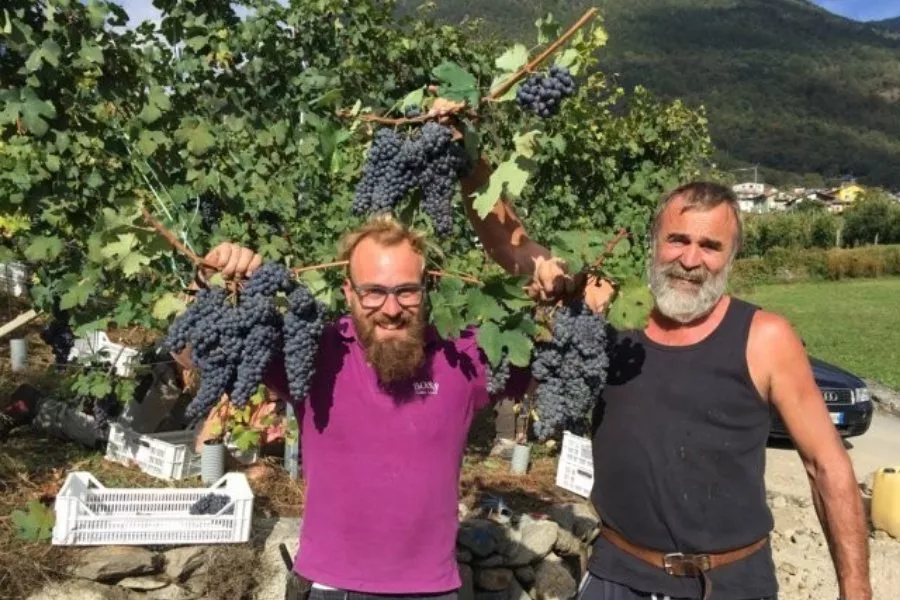Immagine Cantina Folini Valtellina 4 Immagine Cantina Folini Valtellina 4