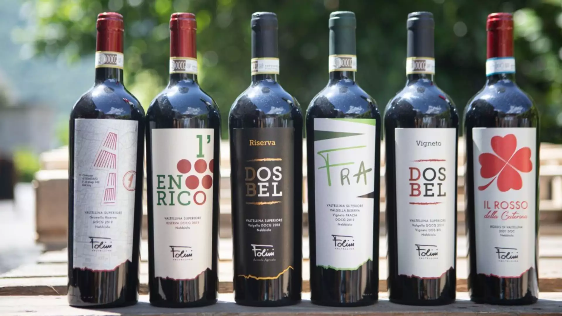 Immagine visita Visita con degustazione cantina Cantina Folini Valtellina