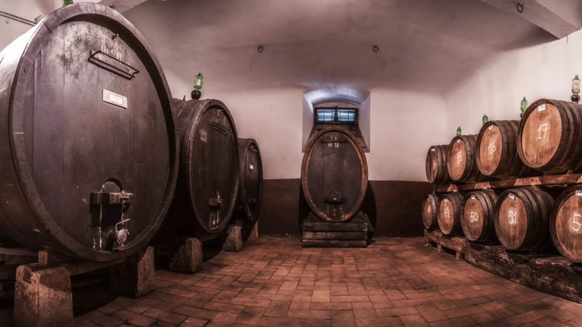 Immagine Marchesi Gondi-Tenuta Bossi 1 Immagine Marchesi Gondi-Tenuta Bossi 1
