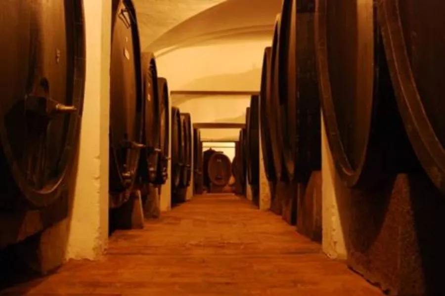 Immagine Marchesi Gondi-Tenuta Bossi 3 Immagine Marchesi Gondi-Tenuta Bossi 3