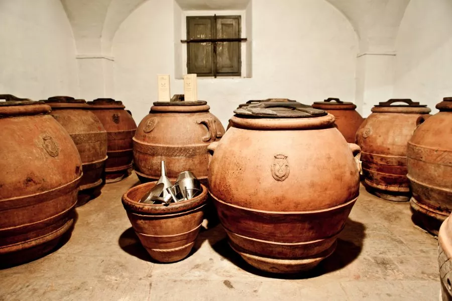 Immagine Viaggio tra le colline del Chianti Rufina 14 Immagine Viaggio tra le colline del Chianti Rufina 14
