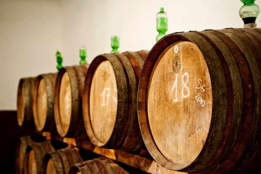 Immagine Viaggio tra le colline del Chianti Rufina 15 Immagine Viaggio tra le colline del Chianti Rufina 15