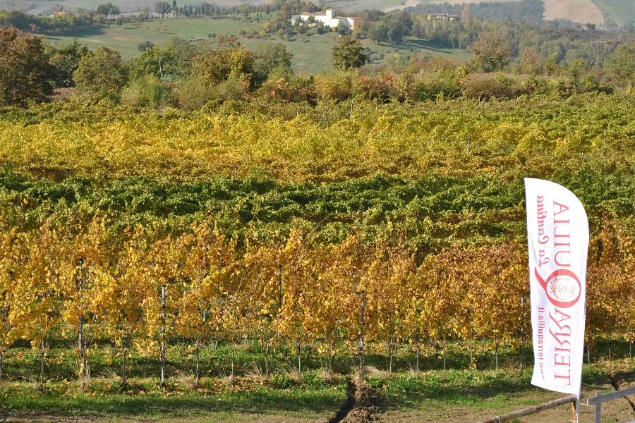 Immagine Terraquilia 3 Immagine Terraquilia 3