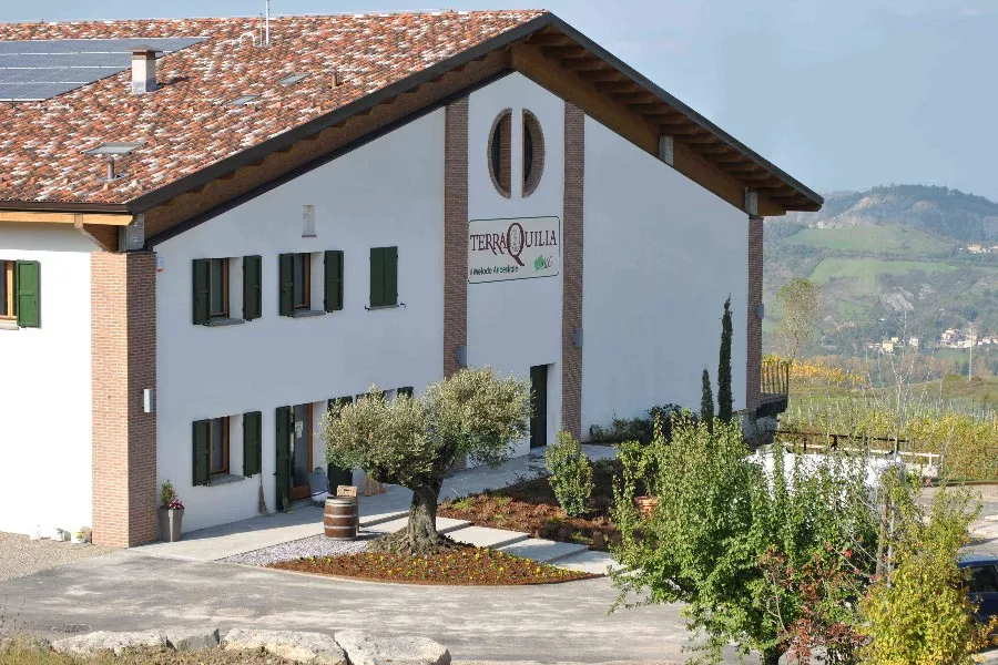 Immagine Dal territorio al vino 5