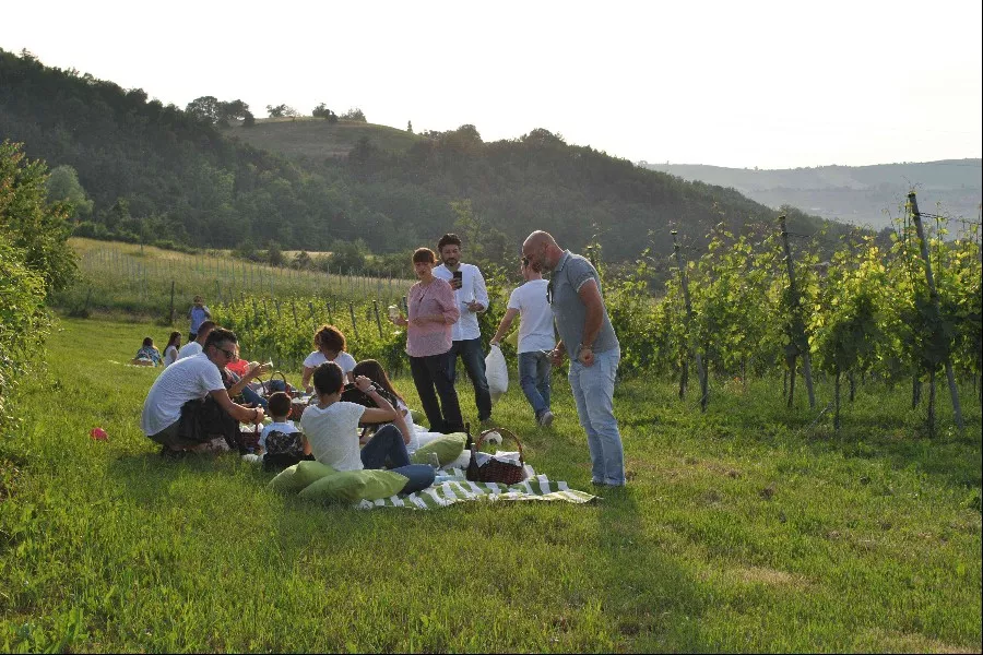 Immagine Dal territorio al vino 6