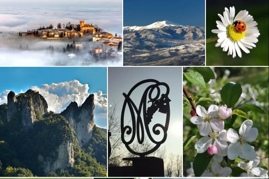 Immagine Dal territorio al vino 9 Immagine Dal territorio al vino 9