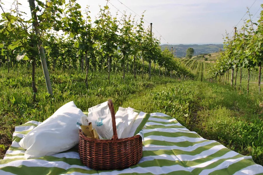 Immagine Dal territorio al vino 12 Immagine Dal territorio al vino 12