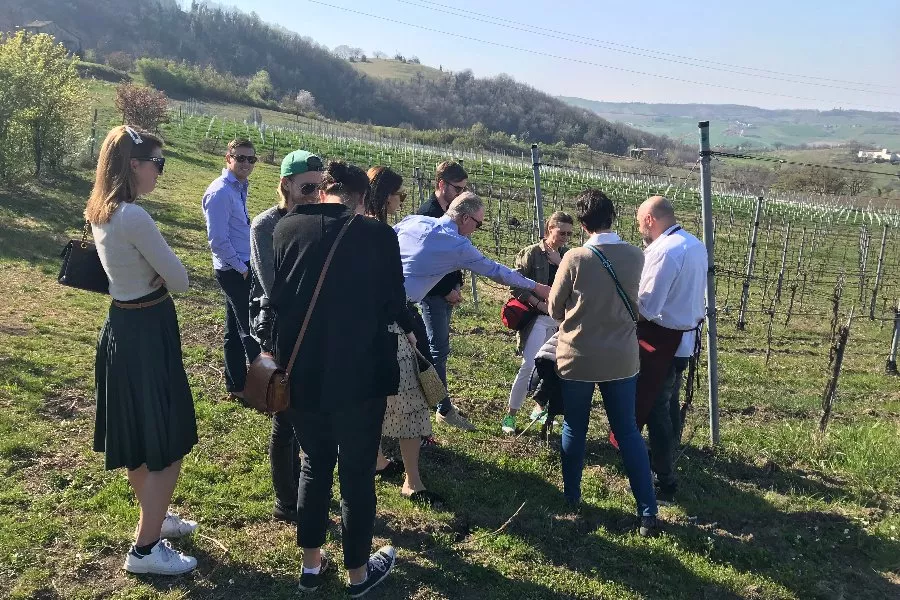 Immagine Dal territorio al vino 17 Immagine Dal territorio al vino 17